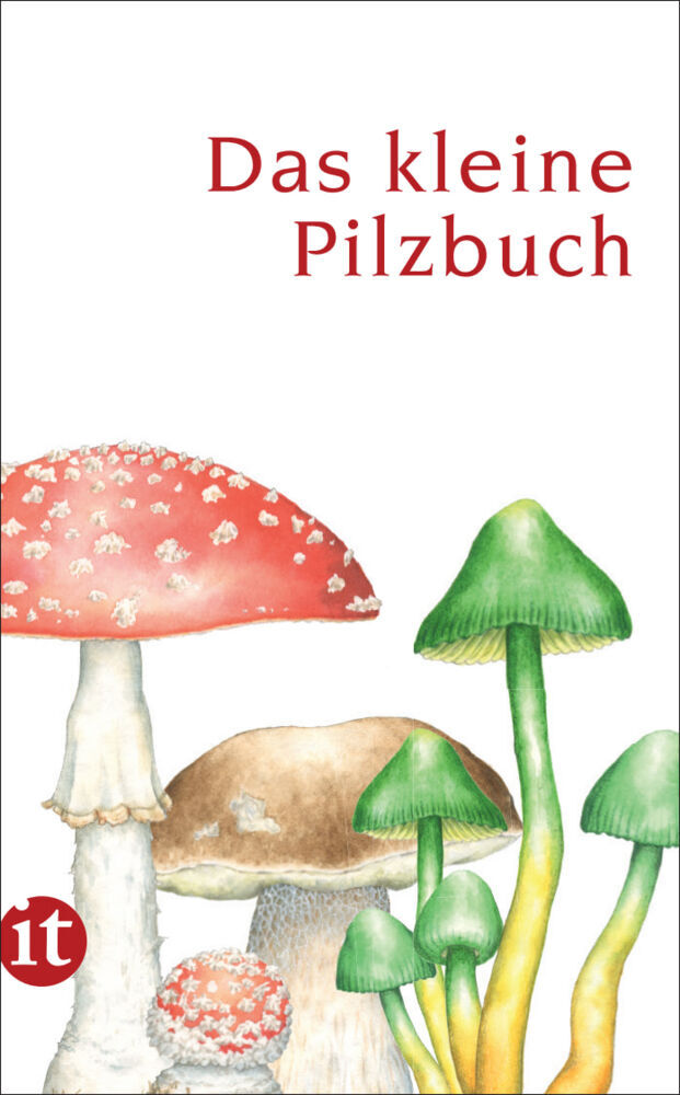 Das kleine Pilzbuch (Catrin Cohnen)