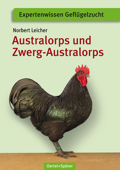 Australorps und Zwerg-Australorps (Norbert Leicher)