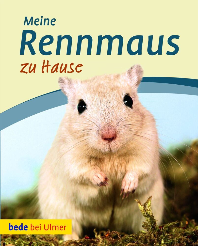 Meine Rennmaus zu Hause (Madlen Wendt)