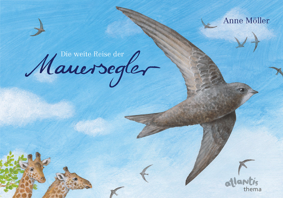 Die weite Reise der Mauersegler (Anne Möller)