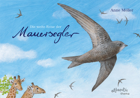 Die weite Reise der Mauersegler (Anne Möller)