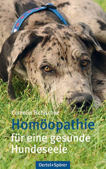 Homöopathie (Cornelia Tschischke)