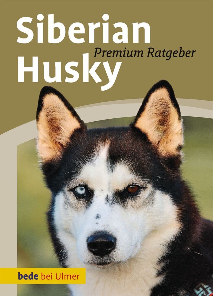 Siberian Husky (Annette Schmitt)