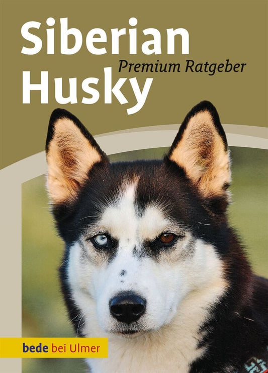 Siberian Husky (Annette Schmitt)