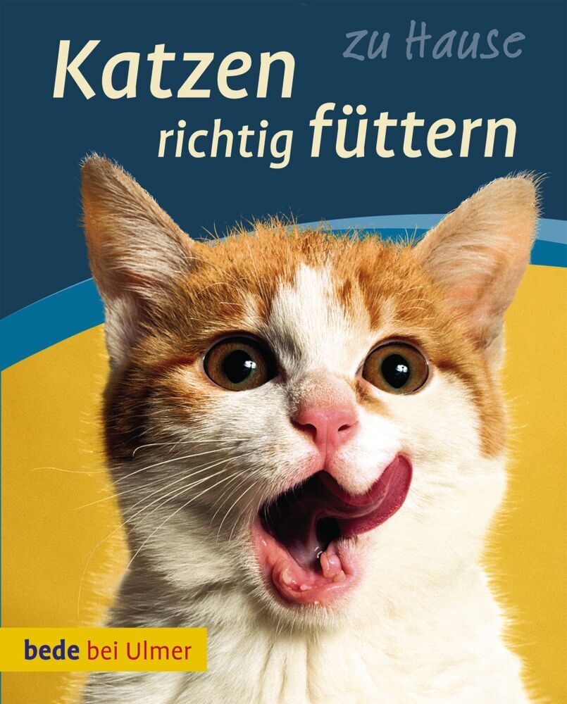 Katzen richtig füttern (Anna Laukner)