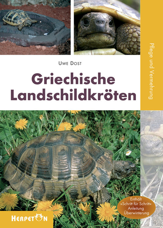 Griechische Landschildkröten (Uwe Dost)