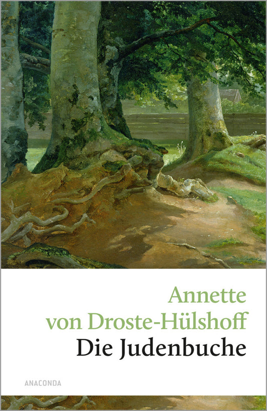 Die Judenbuche (Annette Von Droste-Hülshoff)