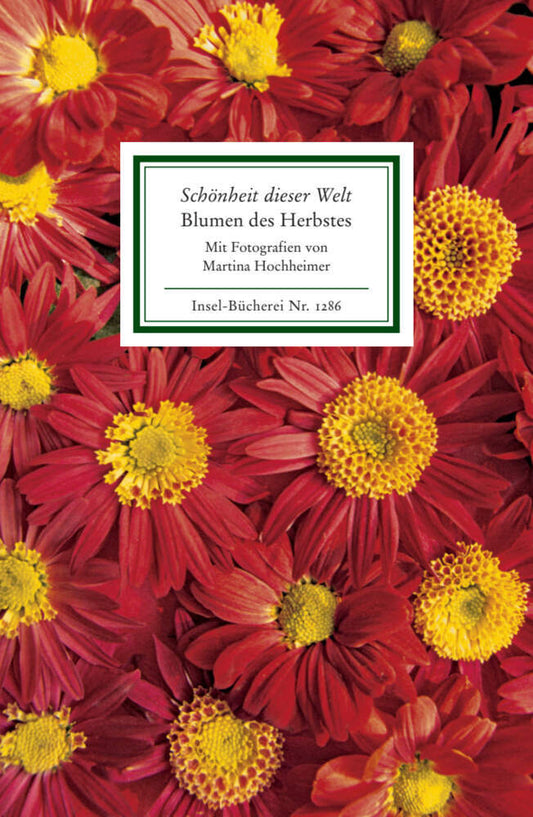 Schönheit dieser Welt. Blumen des Herbstes