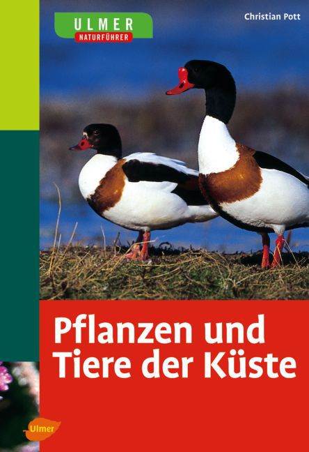 Ulmer Naturführer Pflanzen und Tiere der Küste (Christian Pott)