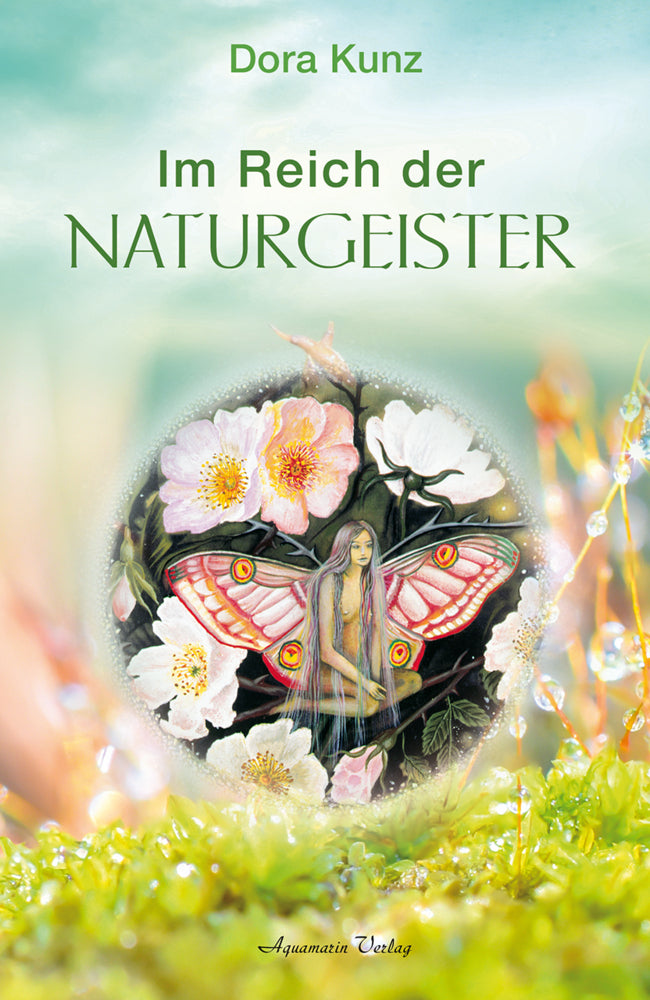 Im Reich der Naturgeister (Dora Kunz)