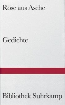 Rose aus Asche
