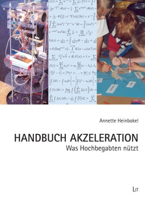 Handbuch Akzeleration (Annette Heinbokel)