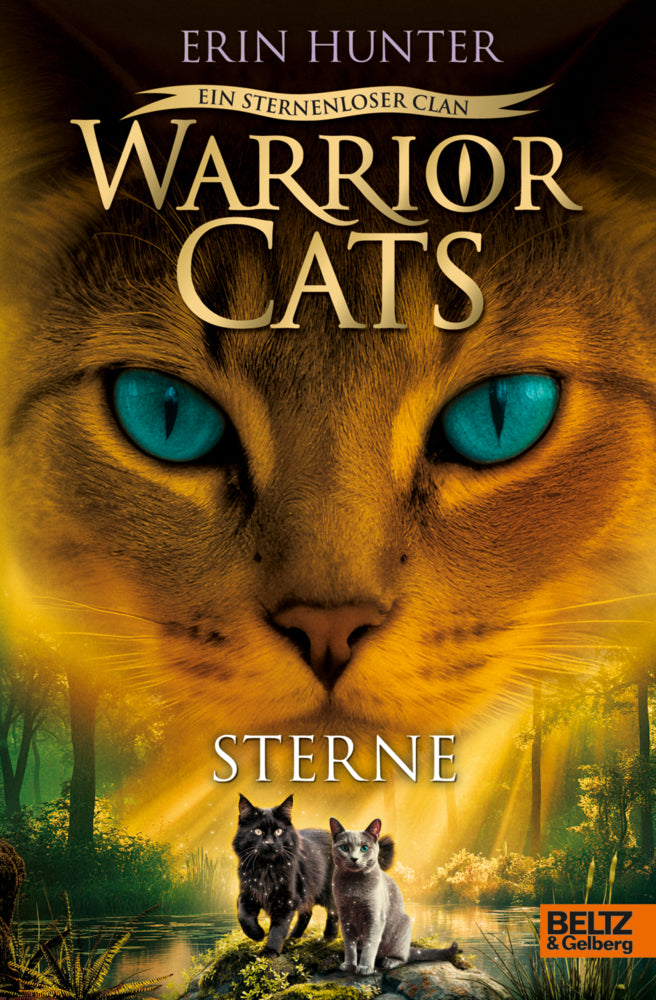 Warrior Cats - Ein sternenloser Clan. Sterne (Erin Hunter)