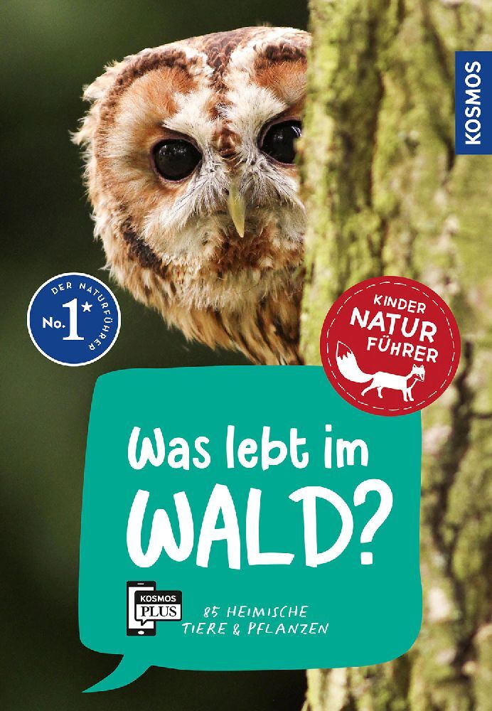 Was lebt im Wald? Kindernaturführer (Holger Haag)