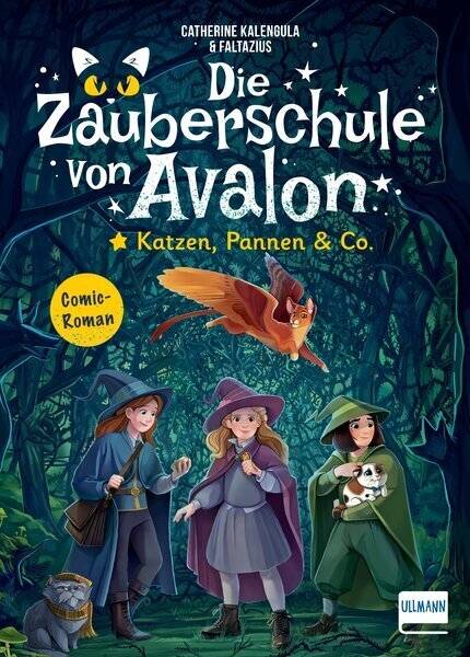 Die Zauberschule von Avalon - Katzen, Pannen & Co. (Catherine Kalengula)