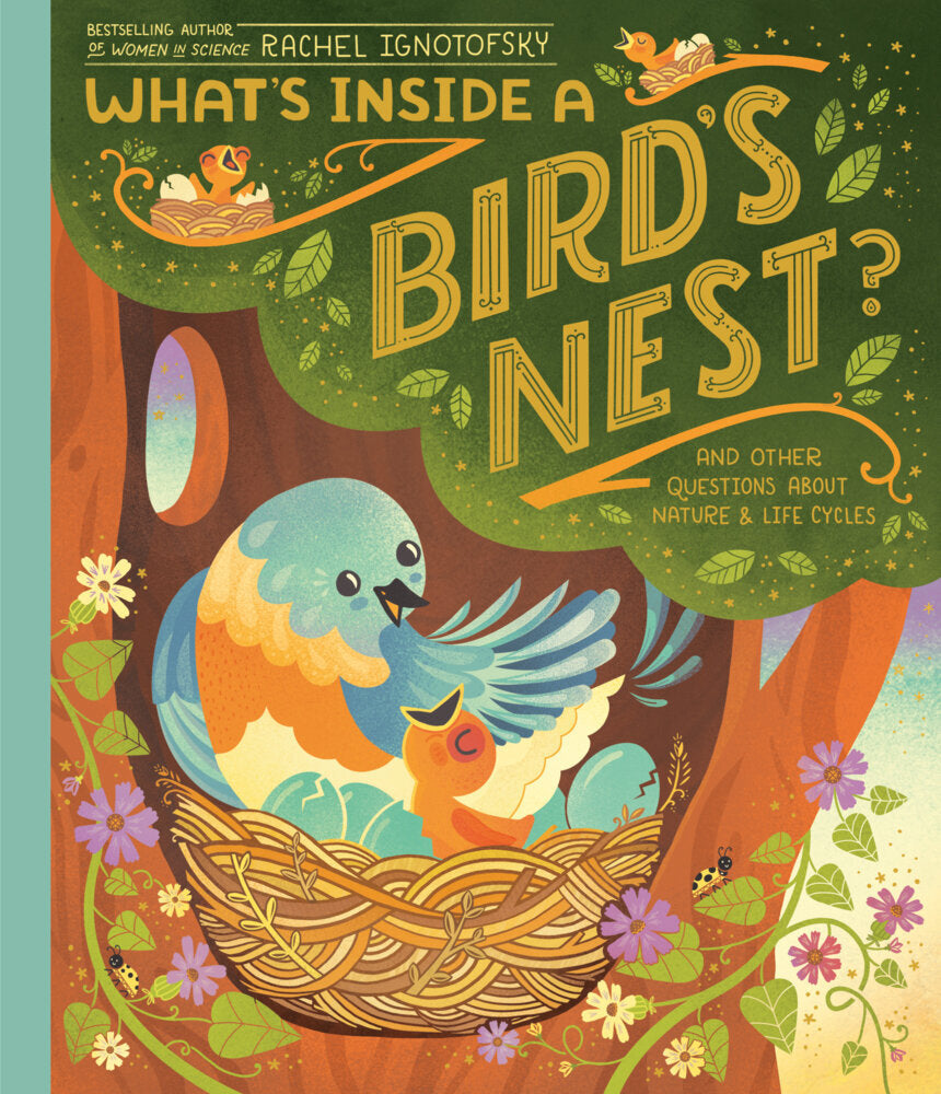 What's Inside A Bird's Nest? (Rachel Ignotofsky)
