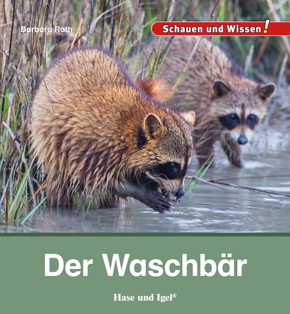 Der Waschbär (Barbara Rath)