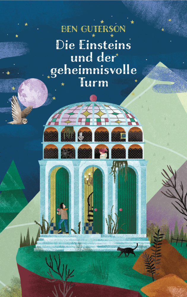 Die Einsteins und der geheimnisvolle Turm (Ben Guterson)