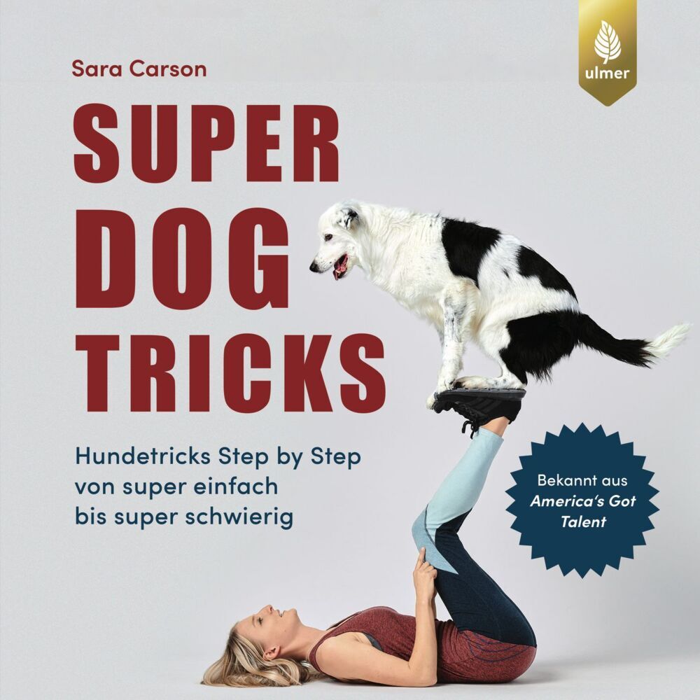 Super Dog Tricks (Sara Carson)