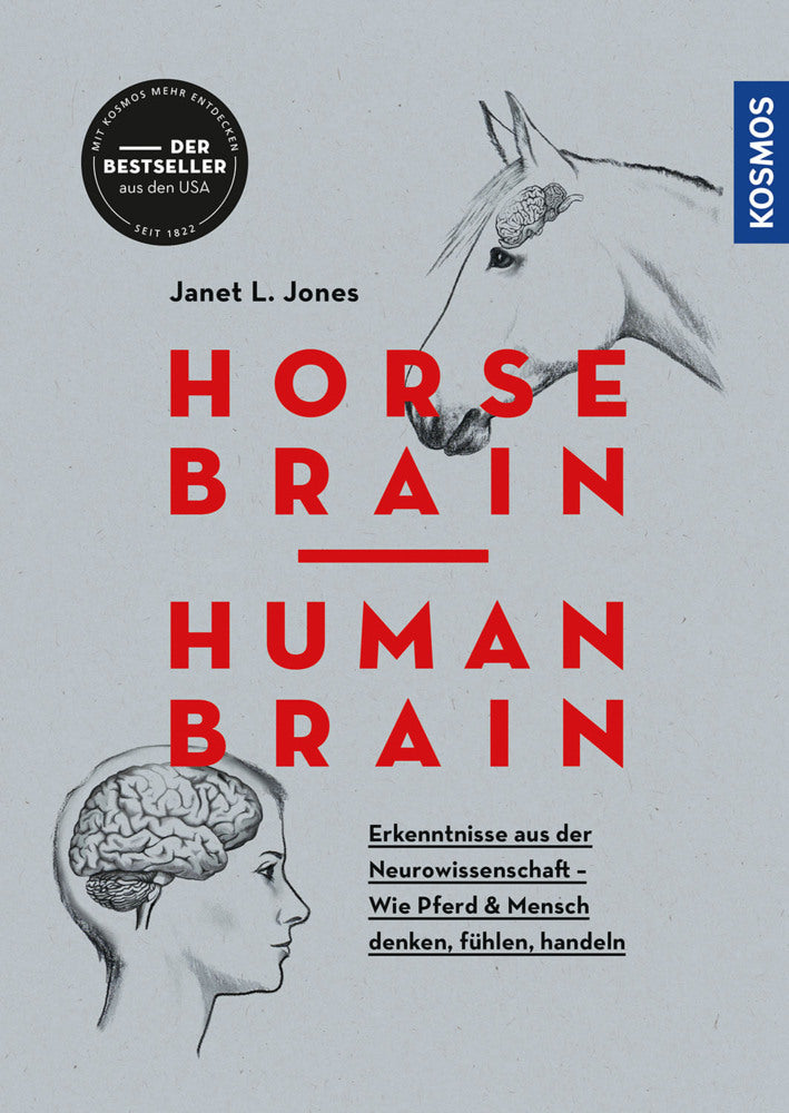 Horse Brain, Human Brain (Janet L. Jones)