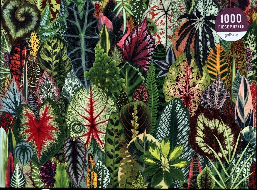 Houseplant Jungle 1000 Piece Puzzle (Galison)