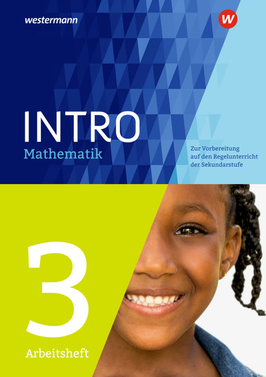 INTRO Mathematik SI - Arbeitsheft 3 (Nicole Hemmers)