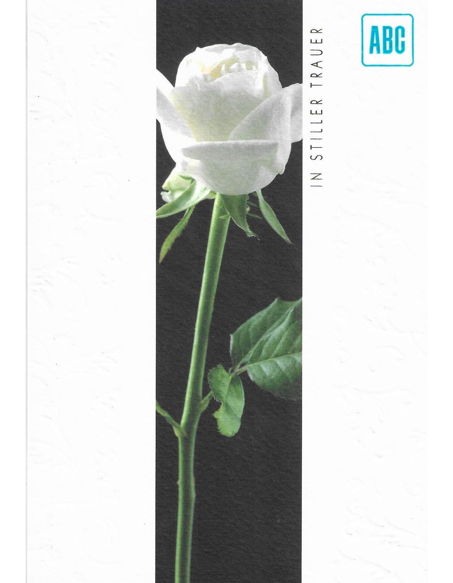 Aufrichtige Anteilnahme B6