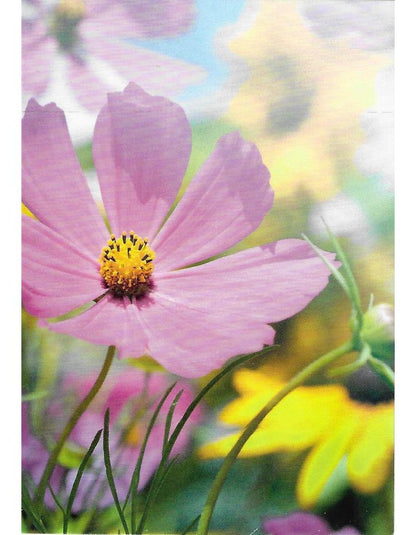 Glückwunschkarte "Blume" A7