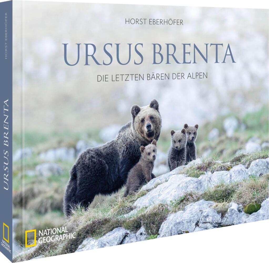 Ursus Brenta - Die Rückkehr der Bären in die Alpen (Horst Eberhöfer)