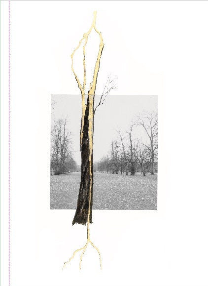 Giuseppe Penone. Thoughts in the Roots (Claude Adjil)