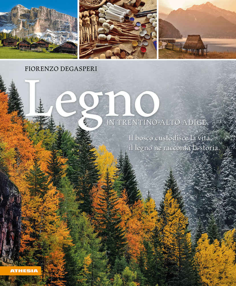 Legno in Trentino-Alto Adige (Fiorenzo Degasperi)