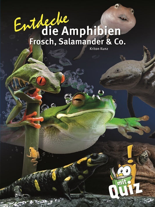 Entdecke die Amphibien (Kriton Kunz)