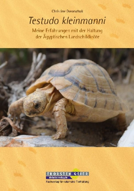 Testudo kleinmanni (Christine Dworschak)