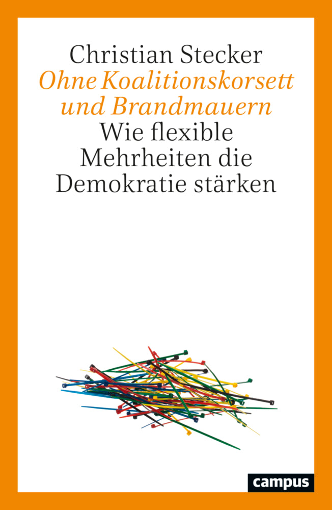 Ohne Koalitionskorsett und Brandmauern (Christian Stecker)