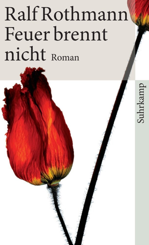 Feuer brennt nicht (Ralf Rothmann)