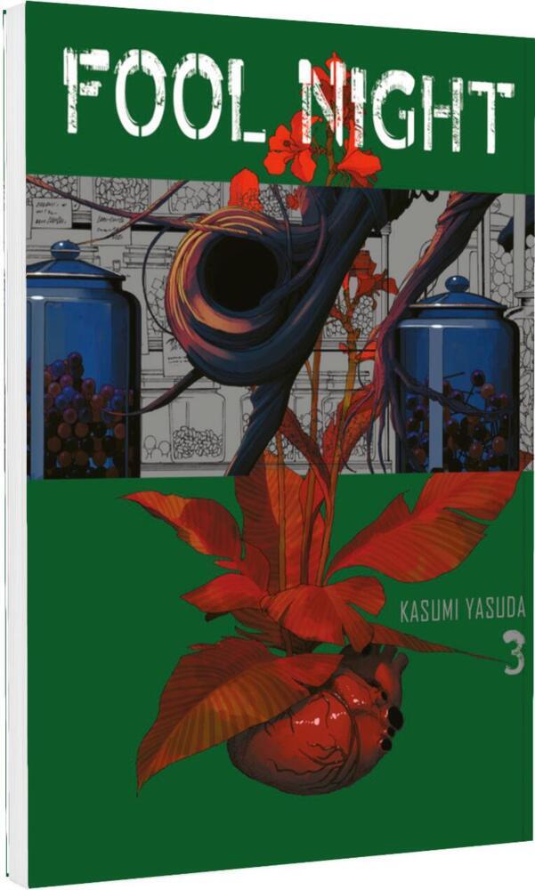 Fool Night 3 (Kasumi Yasuda)