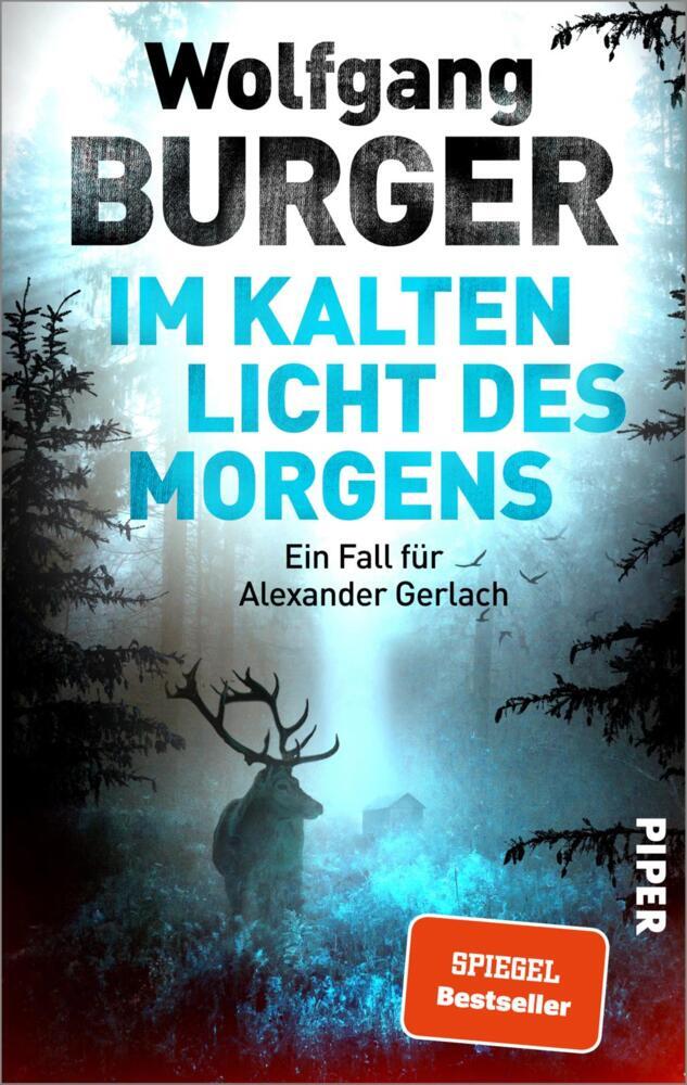 Im kalten Licht des Morgens (Wolfgang Burger)
