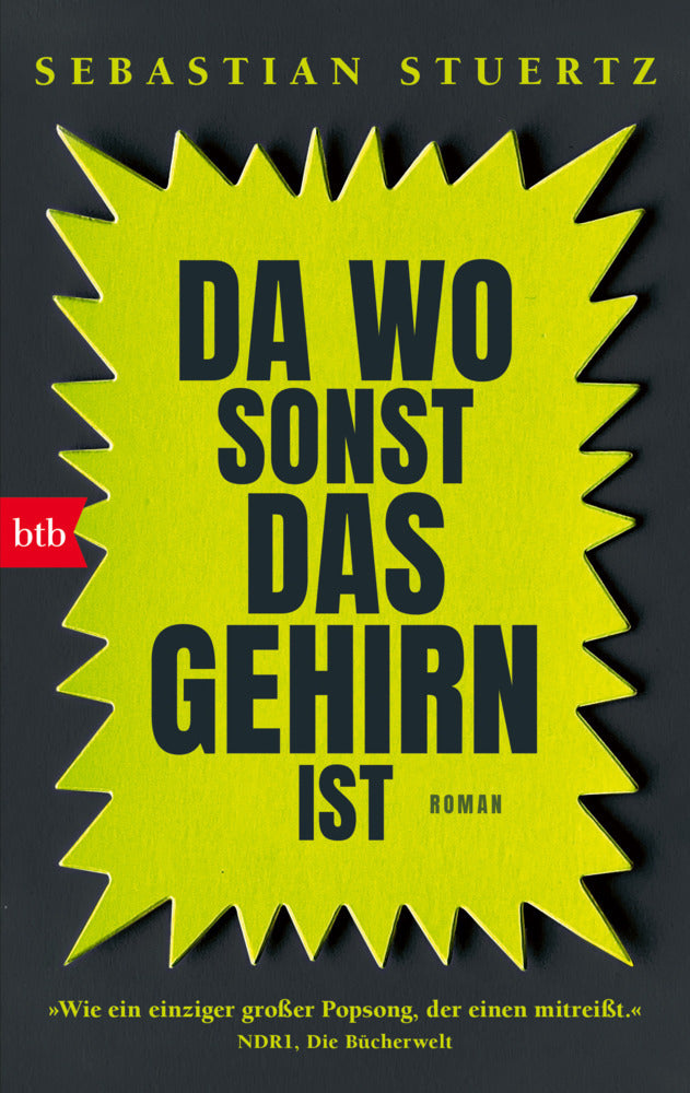 Da wo sonst das Gehirn ist (Sebastian Stuertz)