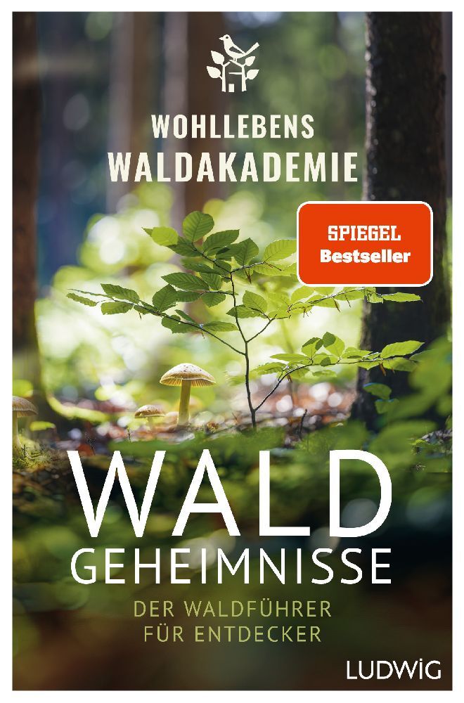 Waldgeheimnisse (Wohllebens Waldakademie)