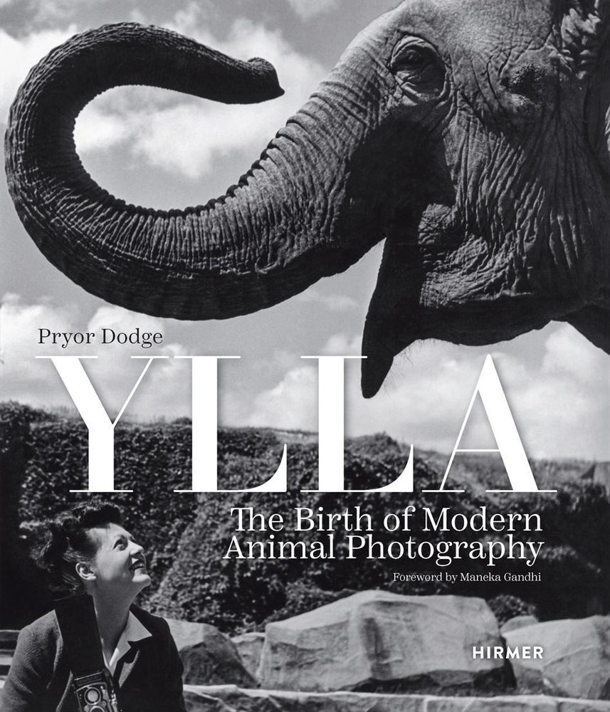 Ylla (Pryor Dodge)