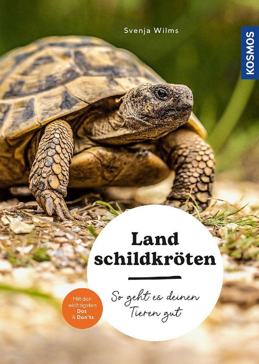 Landschildkröten (Svenja Wilms)