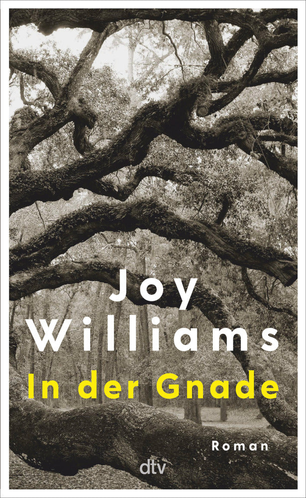 In der Gnade (Joy Williams)