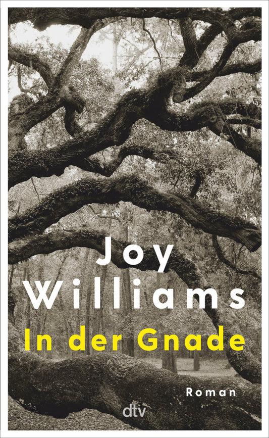 In der Gnade (Joy Williams)