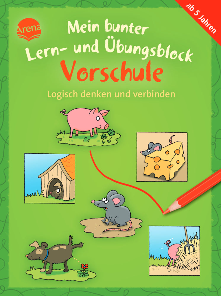 Mein bunter Lern- und Übungsblock Vorschule. Logisch denken und verbinden (Carola Schäfer)