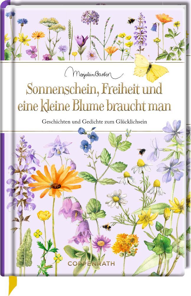 Sonnenschein, Freiheit und eine kleine Blume braucht man (Kristina Schaefer)
