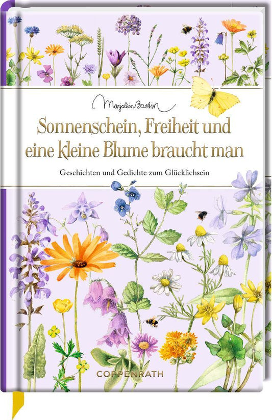 Sonnenschein, Freiheit und eine kleine Blume braucht man (Kristina Schaefer)