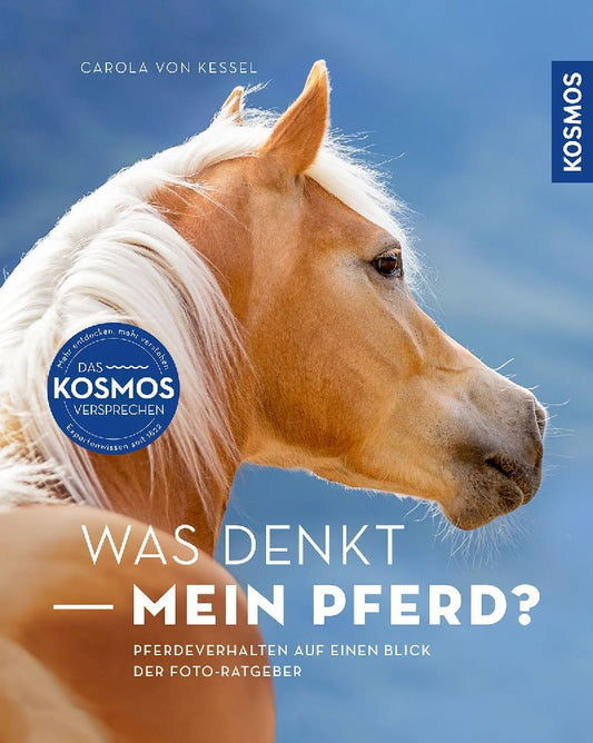 Was denkt mein Pferd? (Carola Von Kessel)