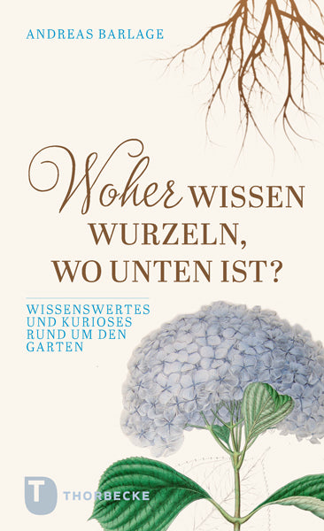 Woher wissen Wurzeln, wo unten ist? (Andreas Barlage)