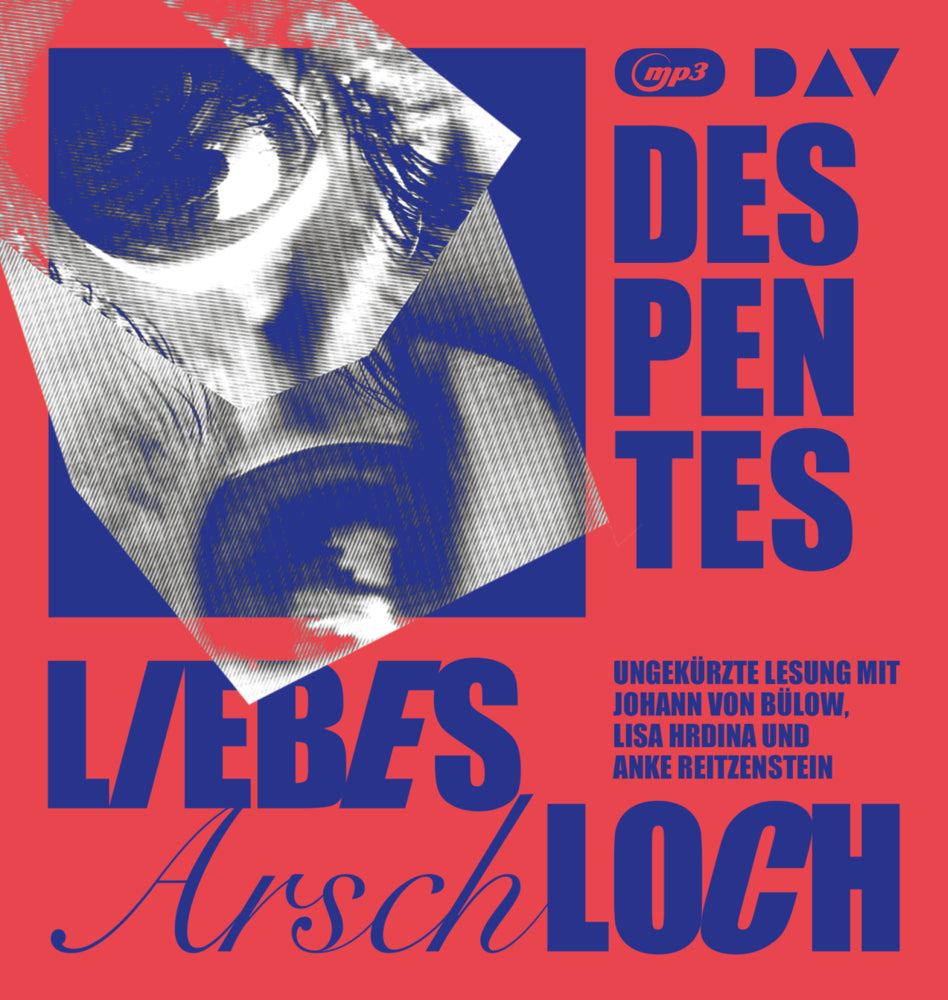 Liebes Arschloch, 1 Audio-CD, 1 MP3 (Virginie Despentes)