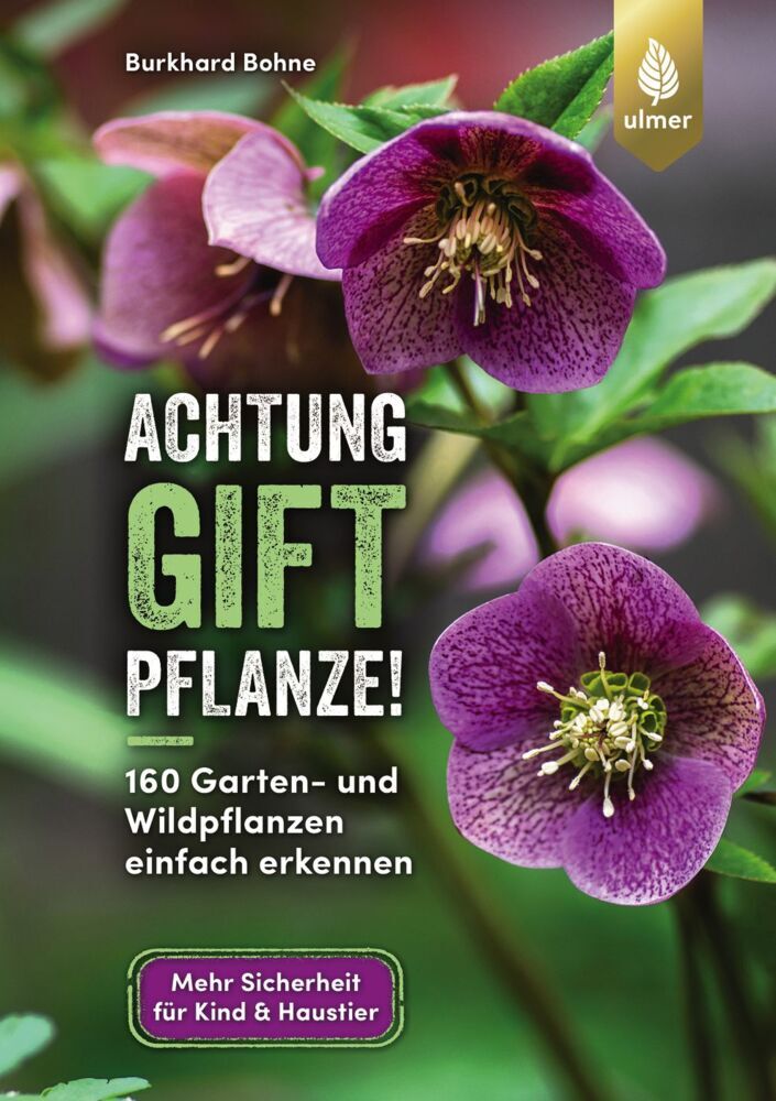Achtung, Giftpflanze! (Burkhard Bohne)